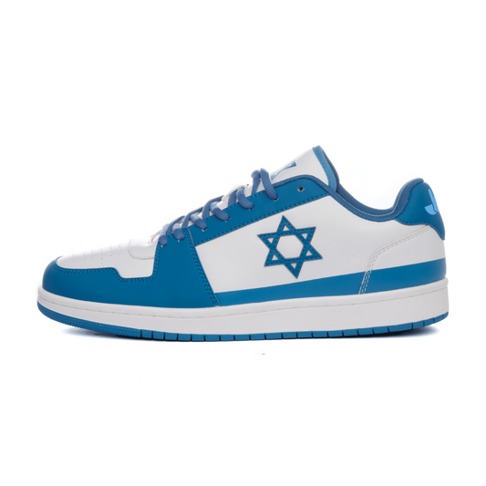 Air Maccabees Low Top featuring Jonah Platt Collaboration (Blue)